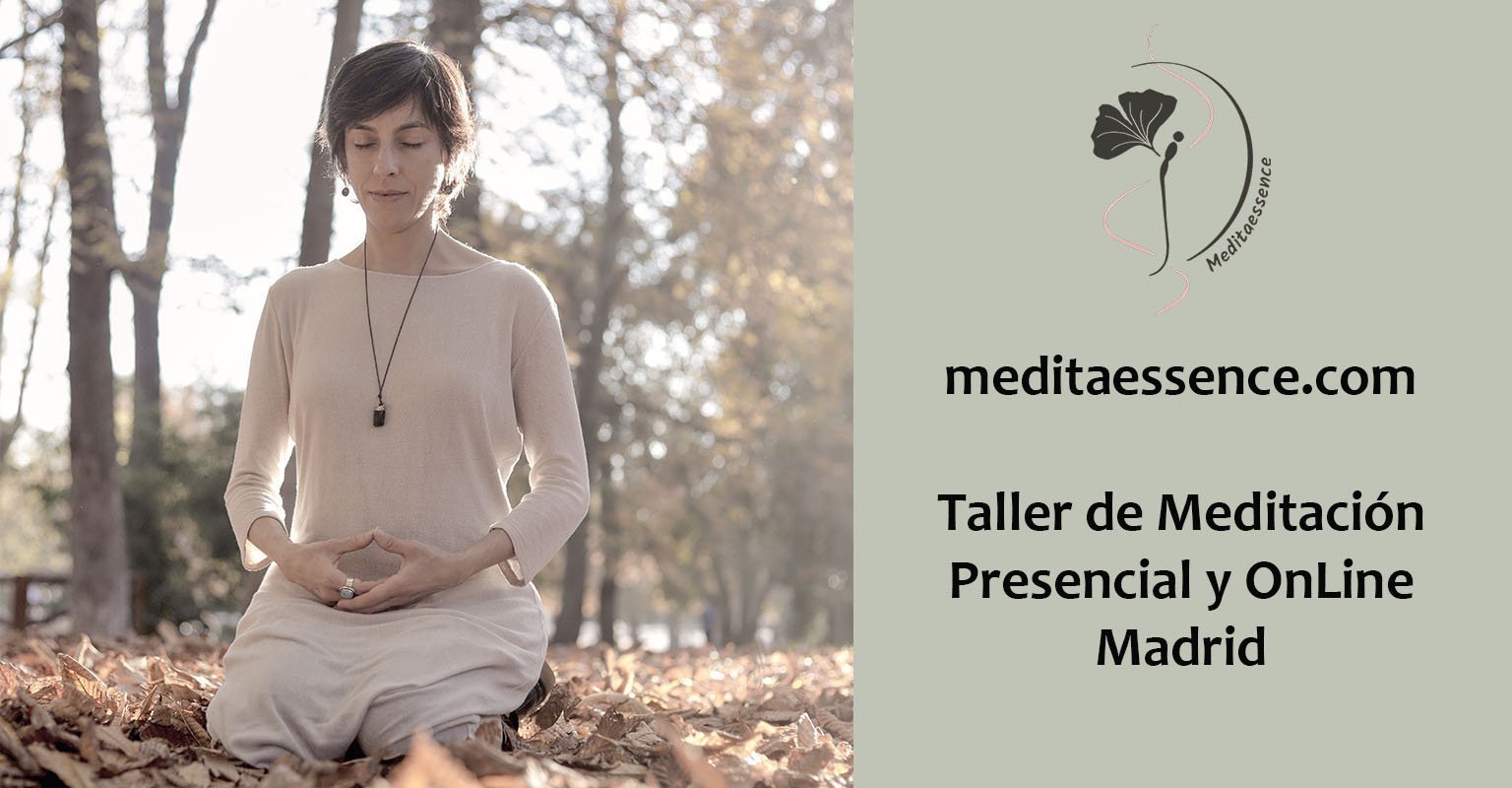 Introducción a la meditación: mini curso gratuito para descubrir esta práctica desde cero